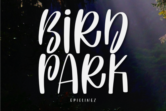 Bird Park: A Playful Display Font for Modern Web and Digital Design
