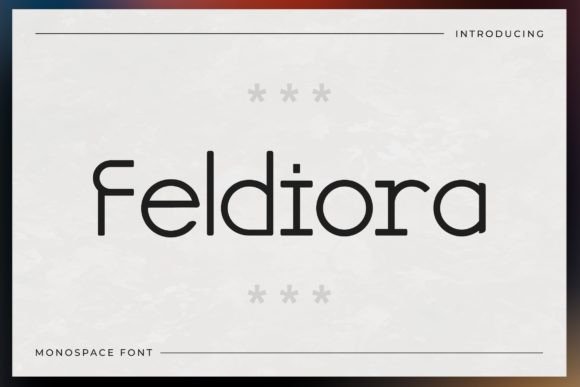 Feldiora: A Monospace Display Font That Elevates Small Business Branding