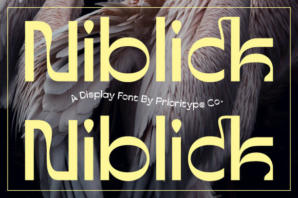 How Niblick Font Elevates Campaign Visuals with Style and Clarity