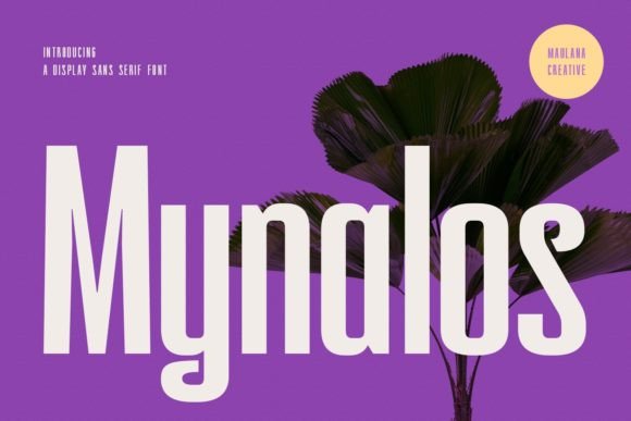 Mynalos: A Modern Sans Serif Font for Digital Designers